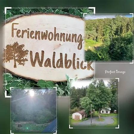 Waldblick * Leun